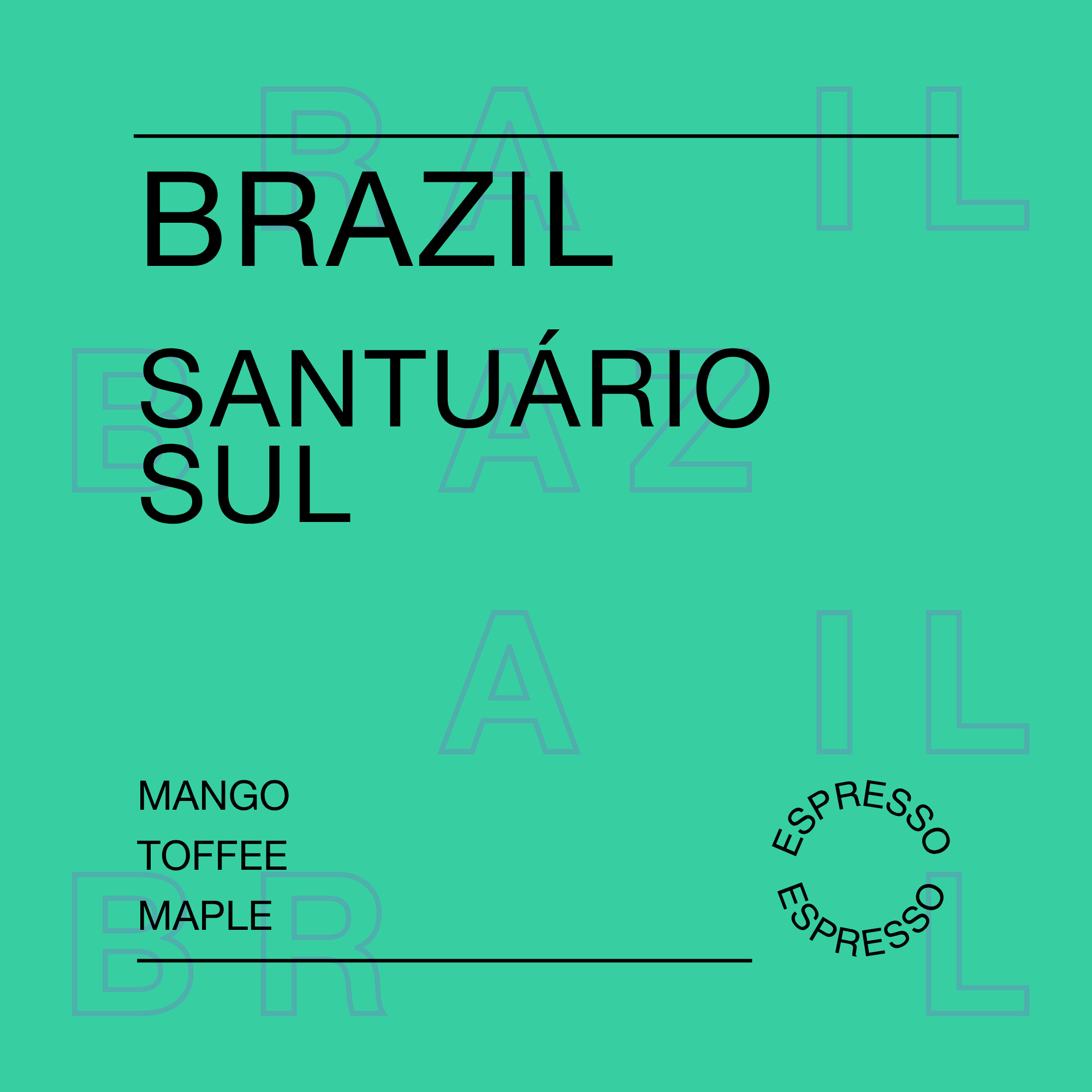 Brazil, Santuário Sul