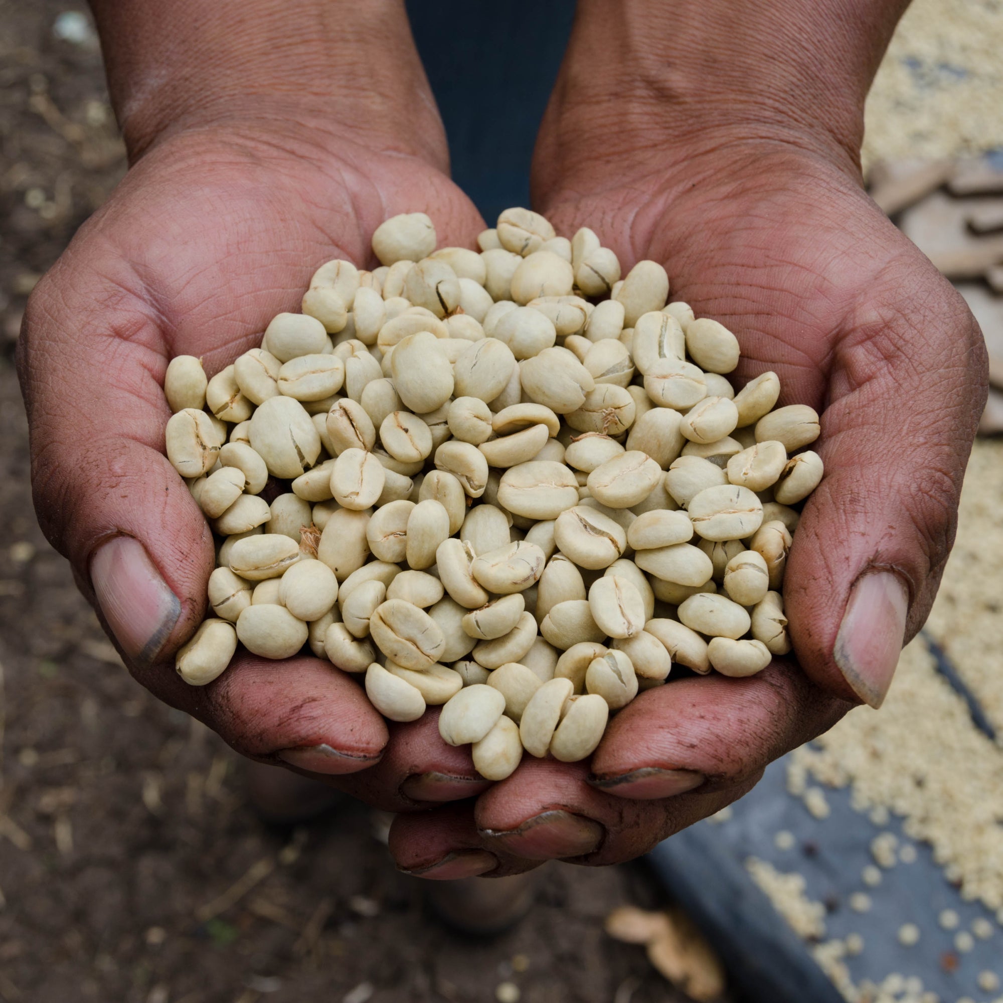 Guatemala, El Coyol 2