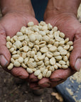 Guatemala, El Coyol 2