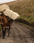 Colombia, Huila Norte
