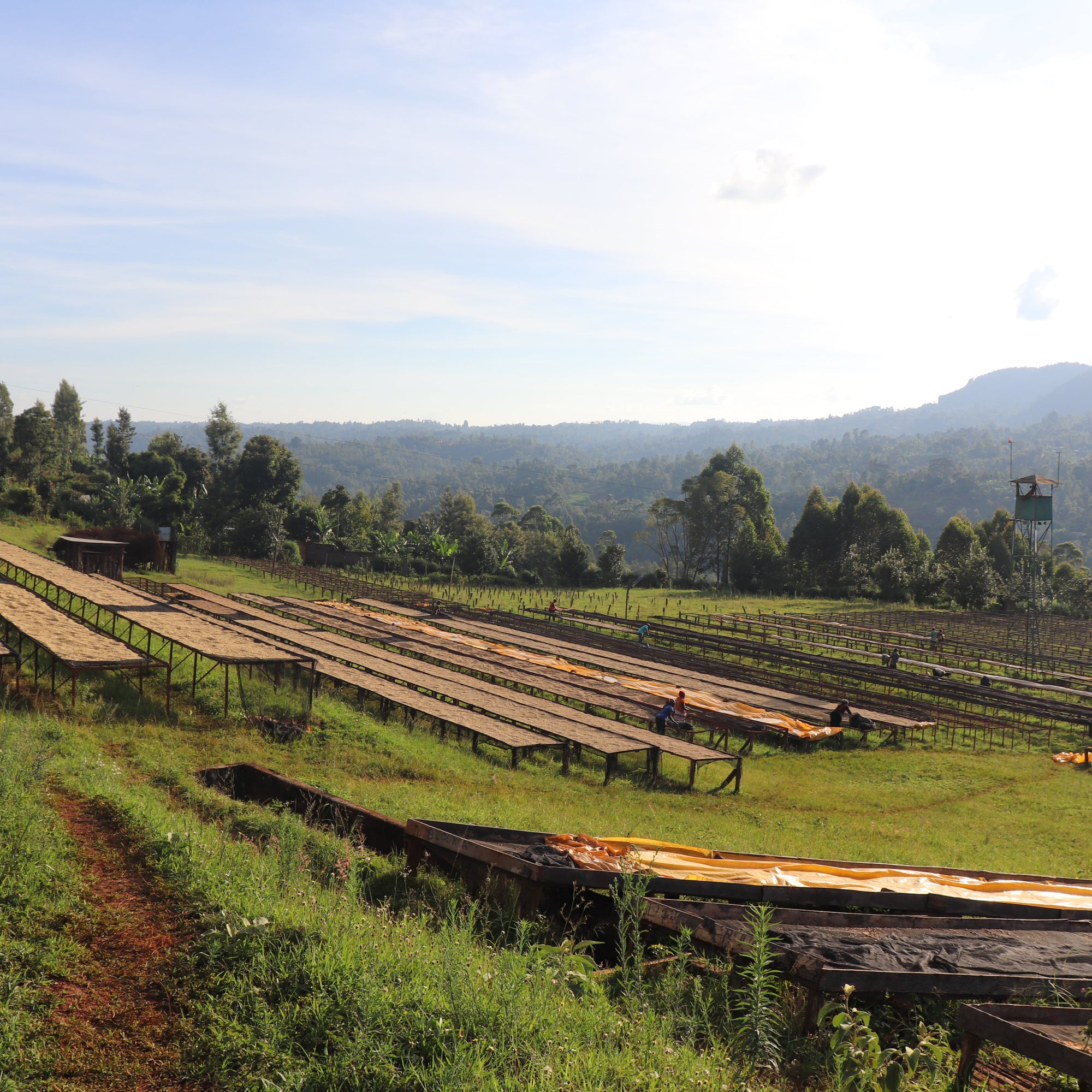 Kenya, Gichathaini AB
