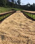Kenya, Gichathaini AA
