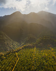 Sunlight illuminating a mountain range with green forest