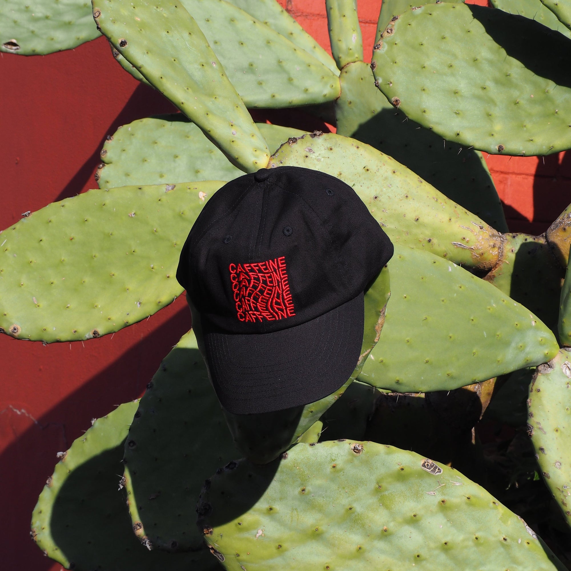 Black cap with red text on a cactus plant against a red wall