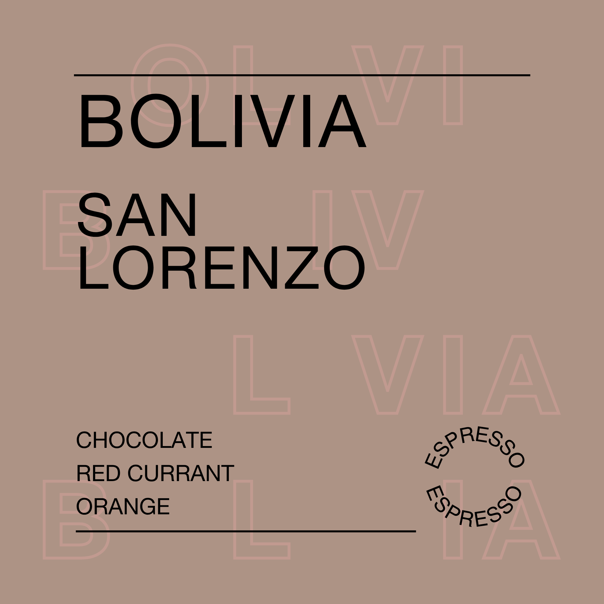 Bolivia, San Lorenzo